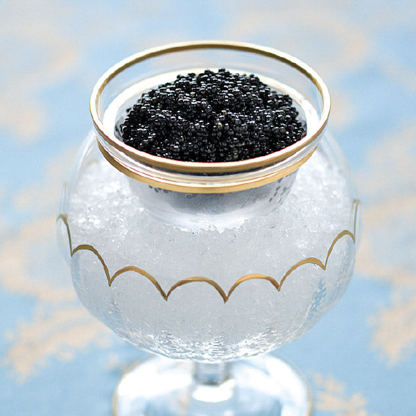 American Beluga Caviar
