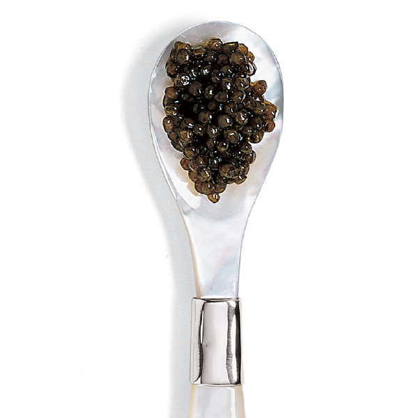 American Beluga Caviar on caviar spoon